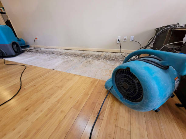 Professional Basement Flood Cleanup technician working in Marshall, WA